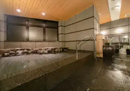APA Osaka Higobashi Ekimae - 16