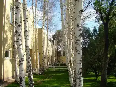 Мурас - 2