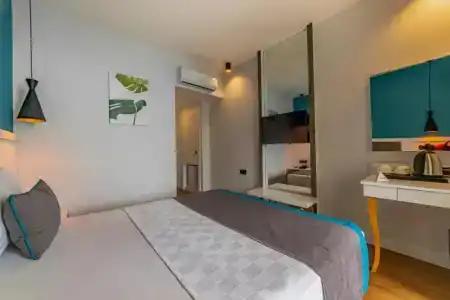 Tema 242 - 36
