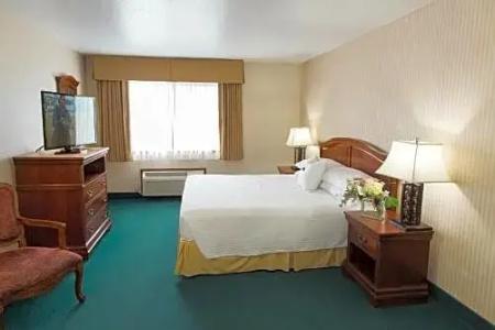 Rogue Regency Inn & Suites - 53