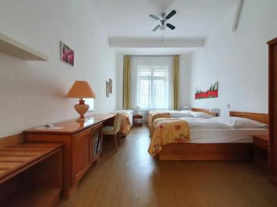 Jana / Pension Domov Mládeže - 32