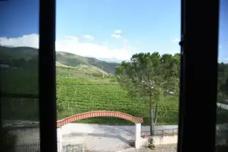 Taverna Ago - 8