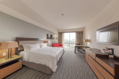 Holiday Inn Guadalajara Select, An Ihg - 4
