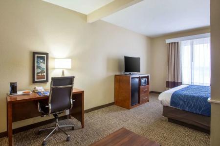 Comfort Inn & Suites Airport - 5