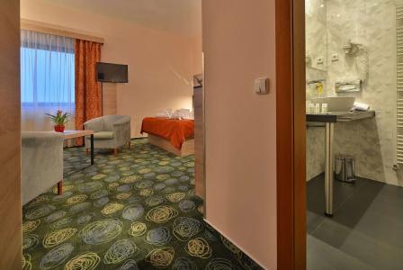 Ramada Airport Prague - 6