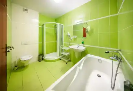 Záviš z Falkenštejna - 60