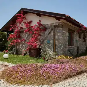 Flow Datça Surf - 57