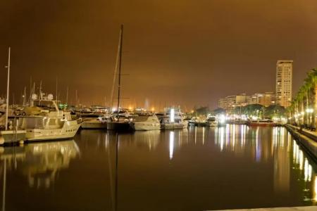 Maritimo - 31