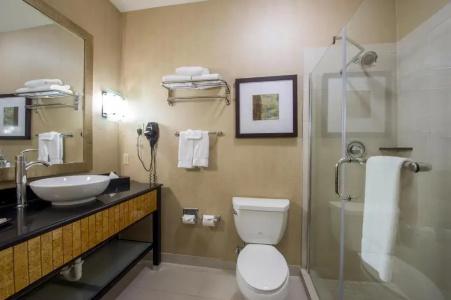 Holiday Inn Houston Westchase, An Ihg - 45