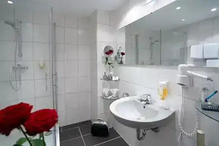 Best Western Rosenau - 34