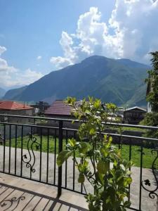 Mood Kazbegi - 37