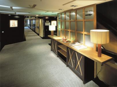 Princesa Plaza Madrid - 24