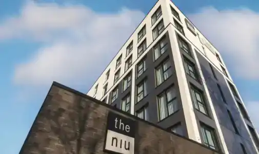 the niu Flash - 0