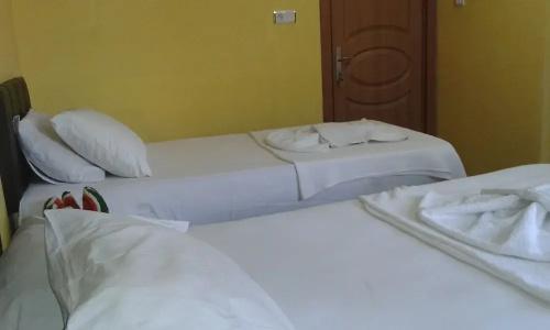 Bereket traveler - 46