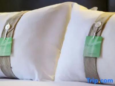 Holiday Inn Paris Gare De Lyon Bastille, An Ihg - 108