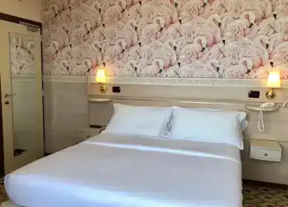 Flamingo - 32
