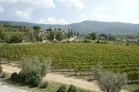 Relais & Châteaux Il Falconiere - 40
