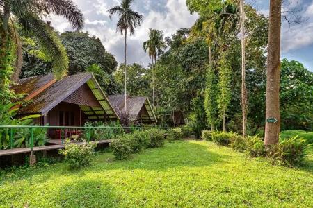 Khaosok Riverside Cottages - 67