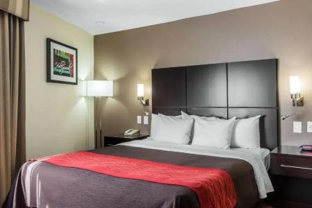 Comfort Inn Los Angeles near Hollywood - 27