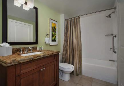 Marriott Lakeshore Reserve - 8