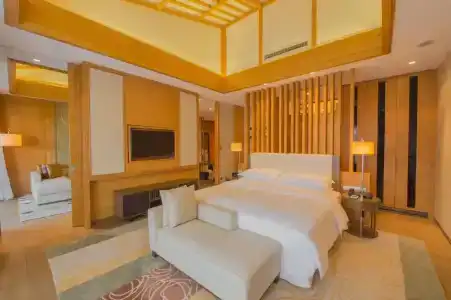 Sheraton Grand Hangzhou Wetland Park Resort - 83