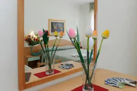 Garden - 2