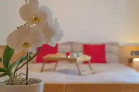 Meublè Rosalpina - 13
