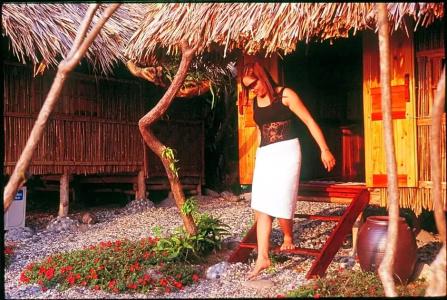 Monkey Island Resort - 60