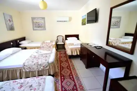 Sevin Pension - 50