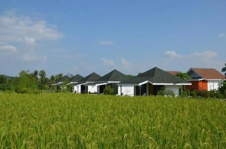 Nok Chan Mee Na - 10