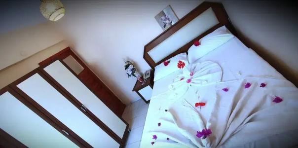 Palmen Apart - 119