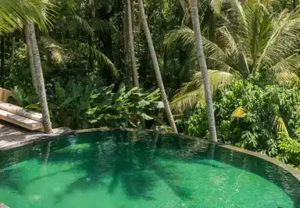 Komaneka at Rasa Sayang Ubud - 16