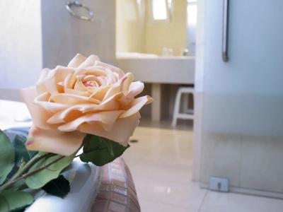 Anastazia Luxury Suites & Spa - 13