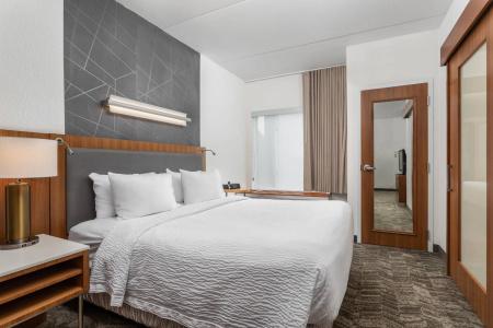 SpringHill Suites by Marriott Downtown/Cameron Harbor - 7