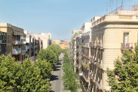 Som Nit Triomf - 0
