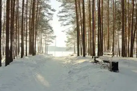 Чувашия - 1