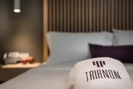 Trianon Luxury  & Suites - 112