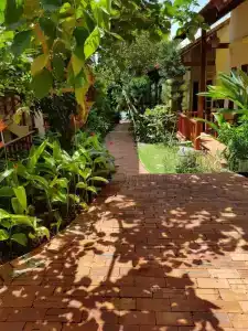 Free Beach Resort - 96
