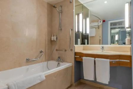 Holiday Inn Nice - Port St Laurent, An Ihg - 107