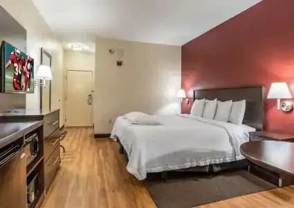 Red Roof Inn Plus+ Austin South - 3