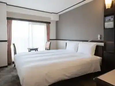 Toyoko Inn - 113