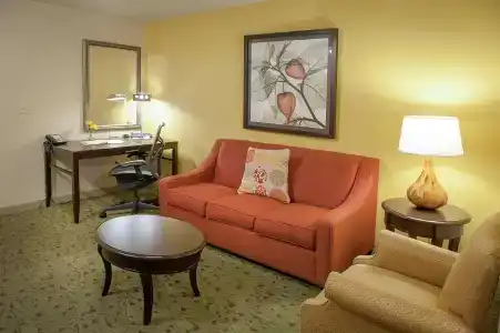 Hilton Garden Inn Airport/Medical Center - 51