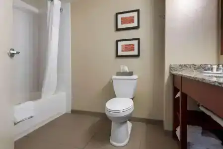 Comfort Inn The Pointe - 35