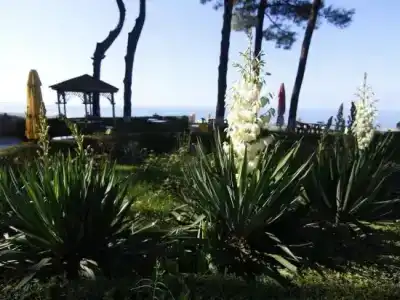Villa Reta & Spa - 32
