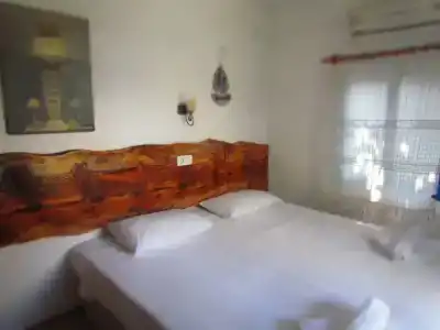 Amazon Antique - 17