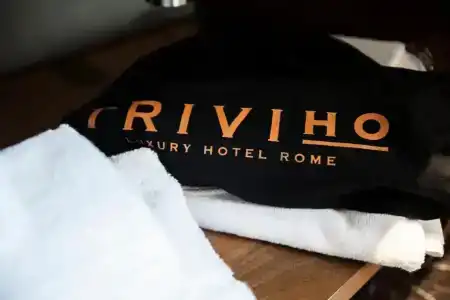 Triviho - 63