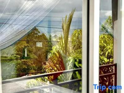 The Ella Nature Life Guest Inn - 70