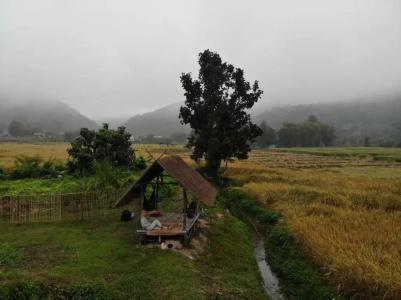 The Countryside - 55