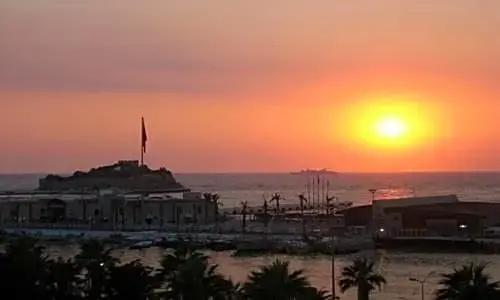 Surtel - 46