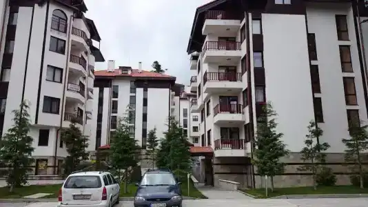 Flora - 0